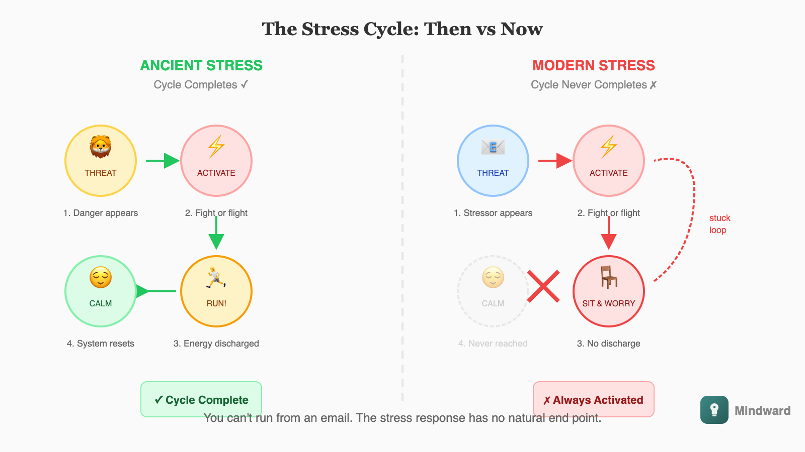 Split comparison: ancient stress (lion appears, person runs, stress completes, body returns to calm) versus modern stress (email arrives, person sits and worries, stress never completes, body stays activated). Shows the missing discharge step.
