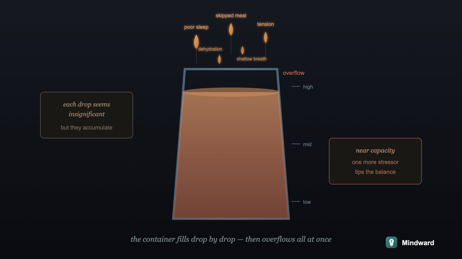 A container slowly filling with small drops, each labeled with micro-stressors like 'skipped meal' and 'poor sleep', showing accumulation toward overflow