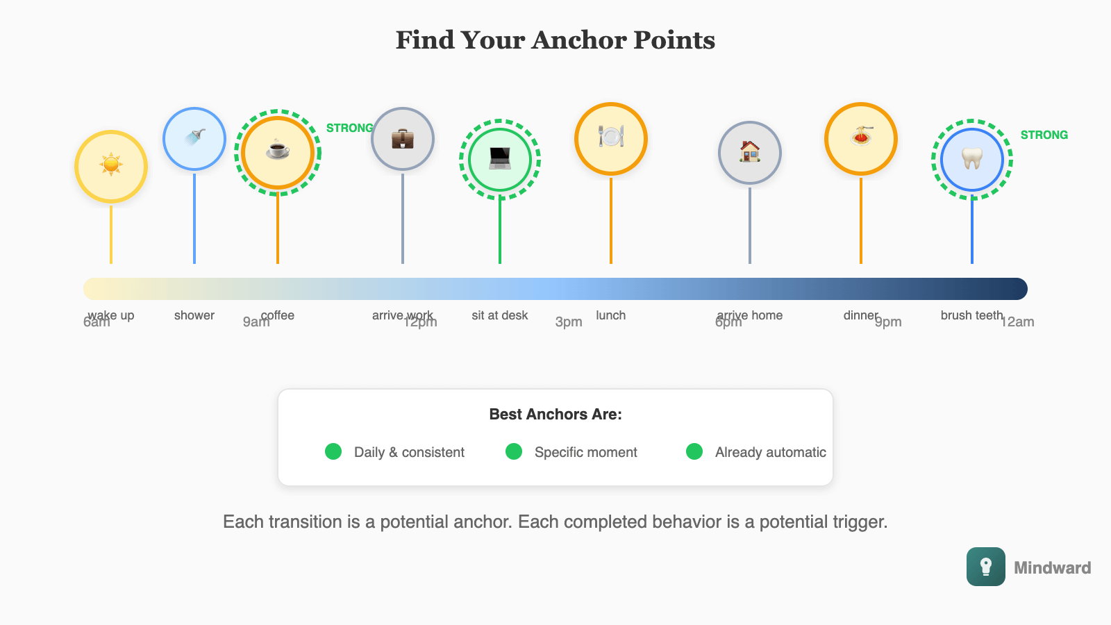 A daily timeline showing common anchor points throughout the day: wake up, bathroom routine, coffee/breakfast, commute, arrive at work, lunch break, leave work, arrive home, dinner, evening routine, bedtime. Each point is marked as a potential habit anchor.