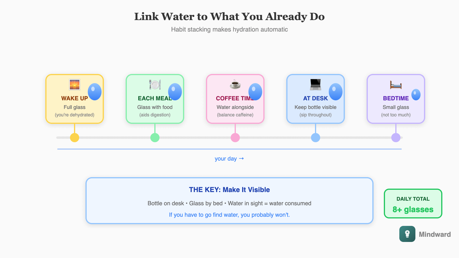 Daily hydration anchors showing water paired with existing habits: Wake up → drink a full glass. Each meal → drink with food. Coffee break → water alongside. Meetings → bring a bottle. Before bed → small glass. Shows natural integration points.