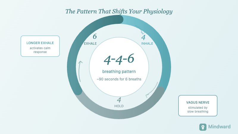 Visual diagram of 4-4-6 breathing pattern with inhale hold and extended exhale phases