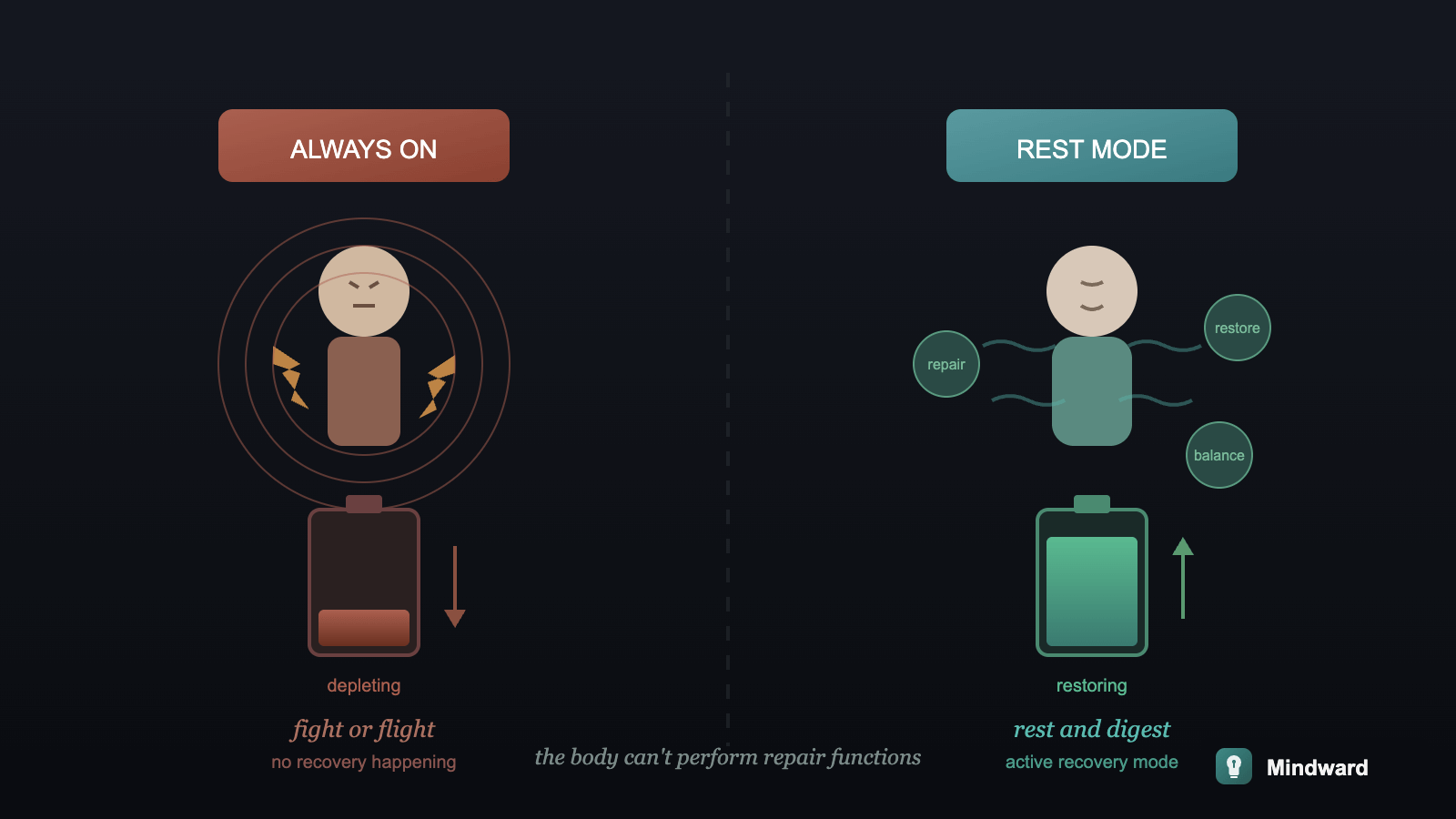 Two modes of the nervous system: one side showing 'always on' activation with depleting resources, the other showing rest mode with active repair and restoration processes