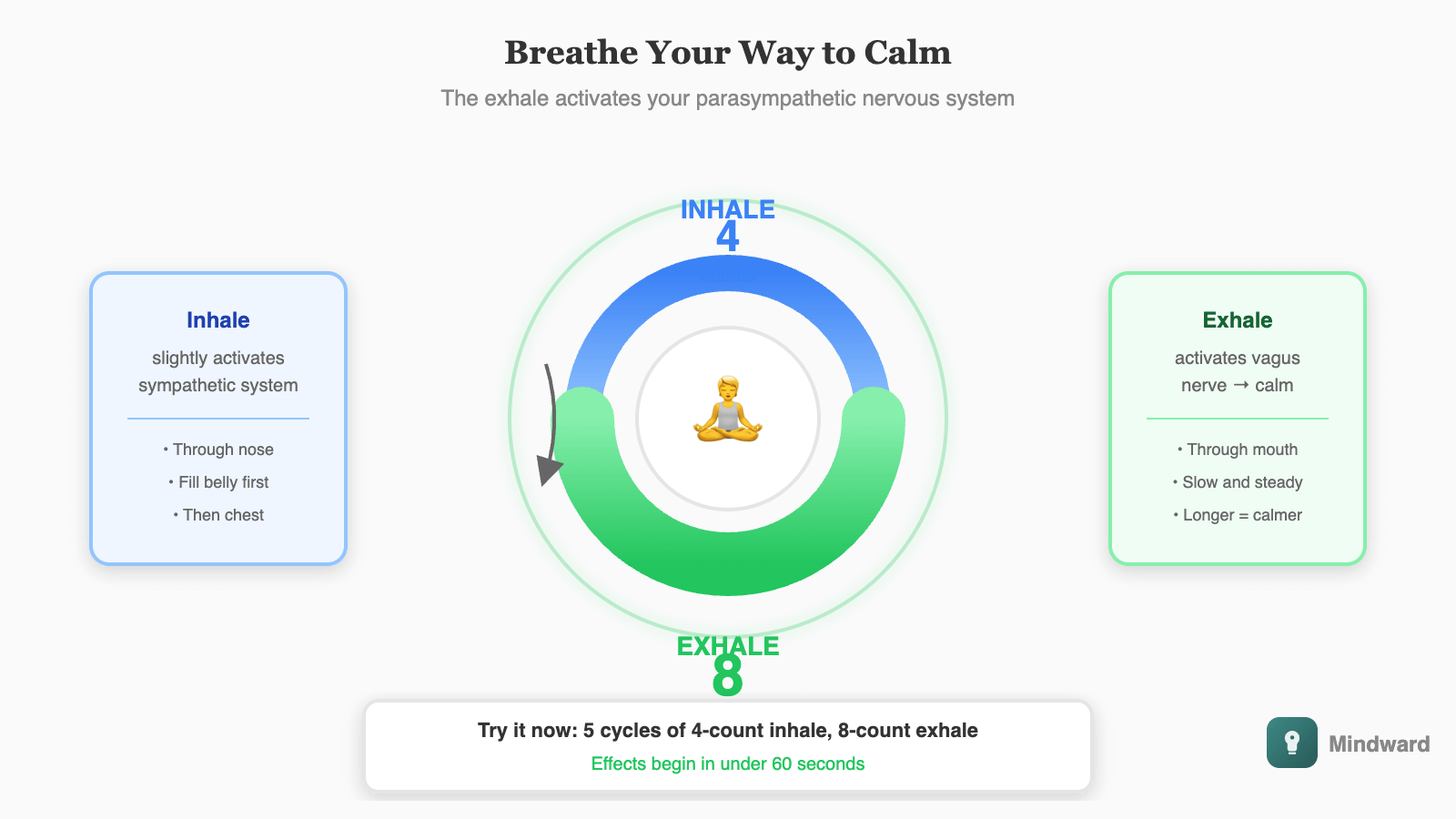 Breathing technique diagram showing the 4-7-8 pattern: inhale through nose for 4 counts, hold for 7 counts, exhale through mouth for 8 counts. Emphasis on the long exhale activating the parasympathetic system.