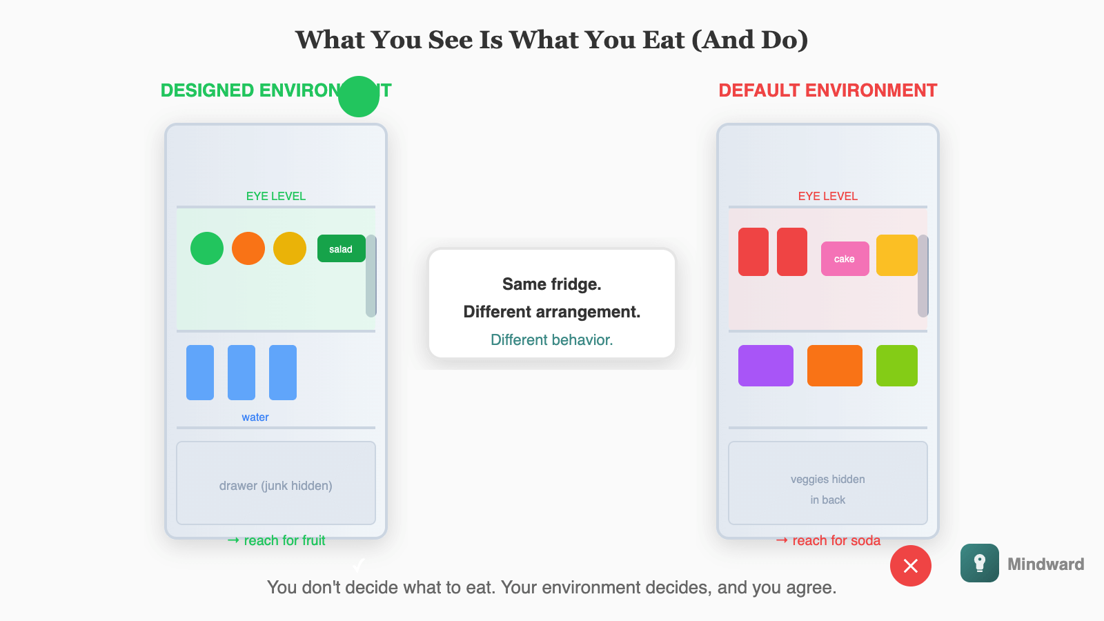 Refrigerator comparison: left fridge shows healthy foods at eye level with unhealthy items hidden in drawers; right fridge shows the opposite. Arrows indicate 'what you see is what you eat'.