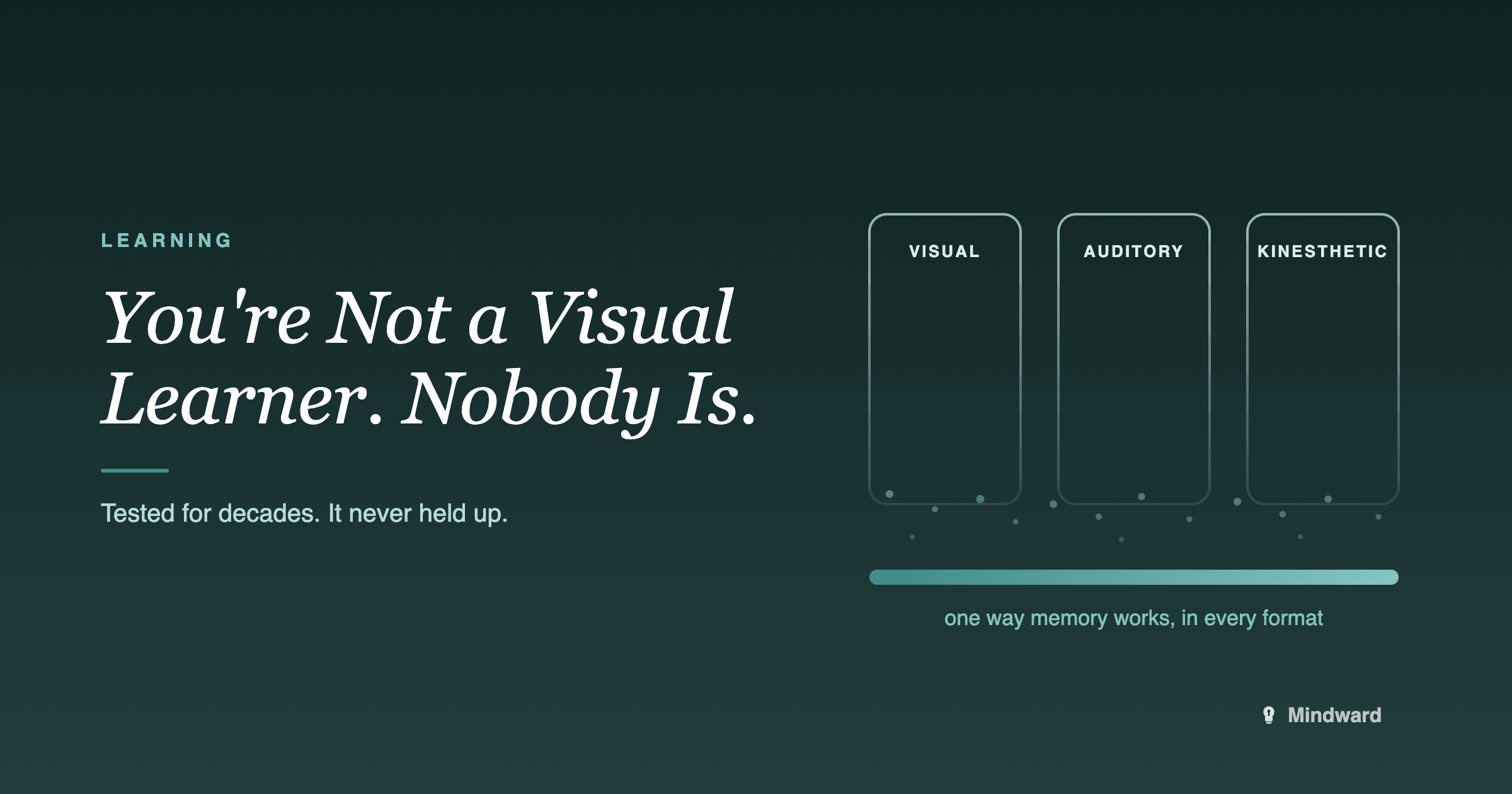 You're Not a Visual Learner. Nobody Is.