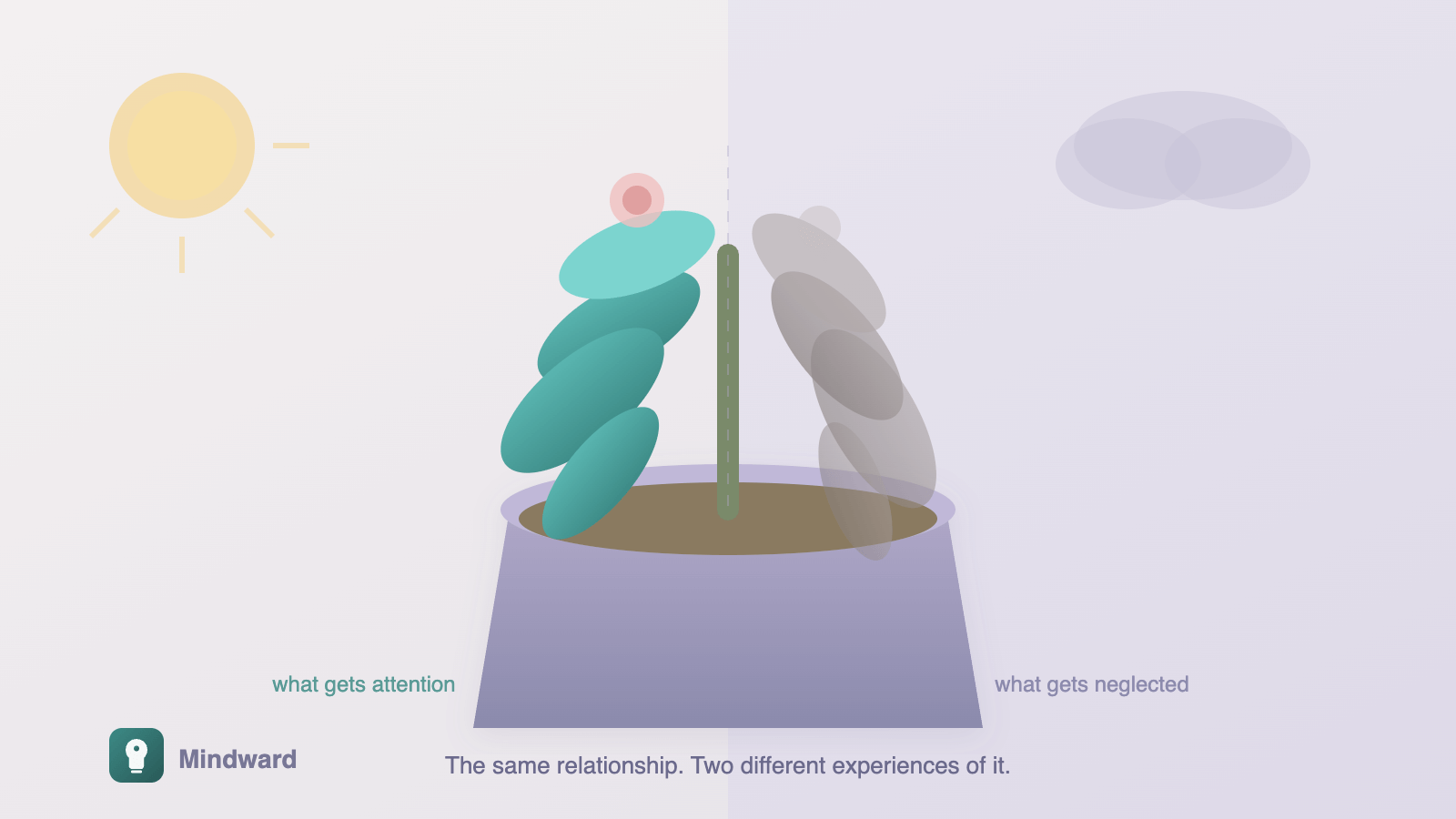 A plant in a relationship pot—one half thriving with sunlight, one half wilting in shadow