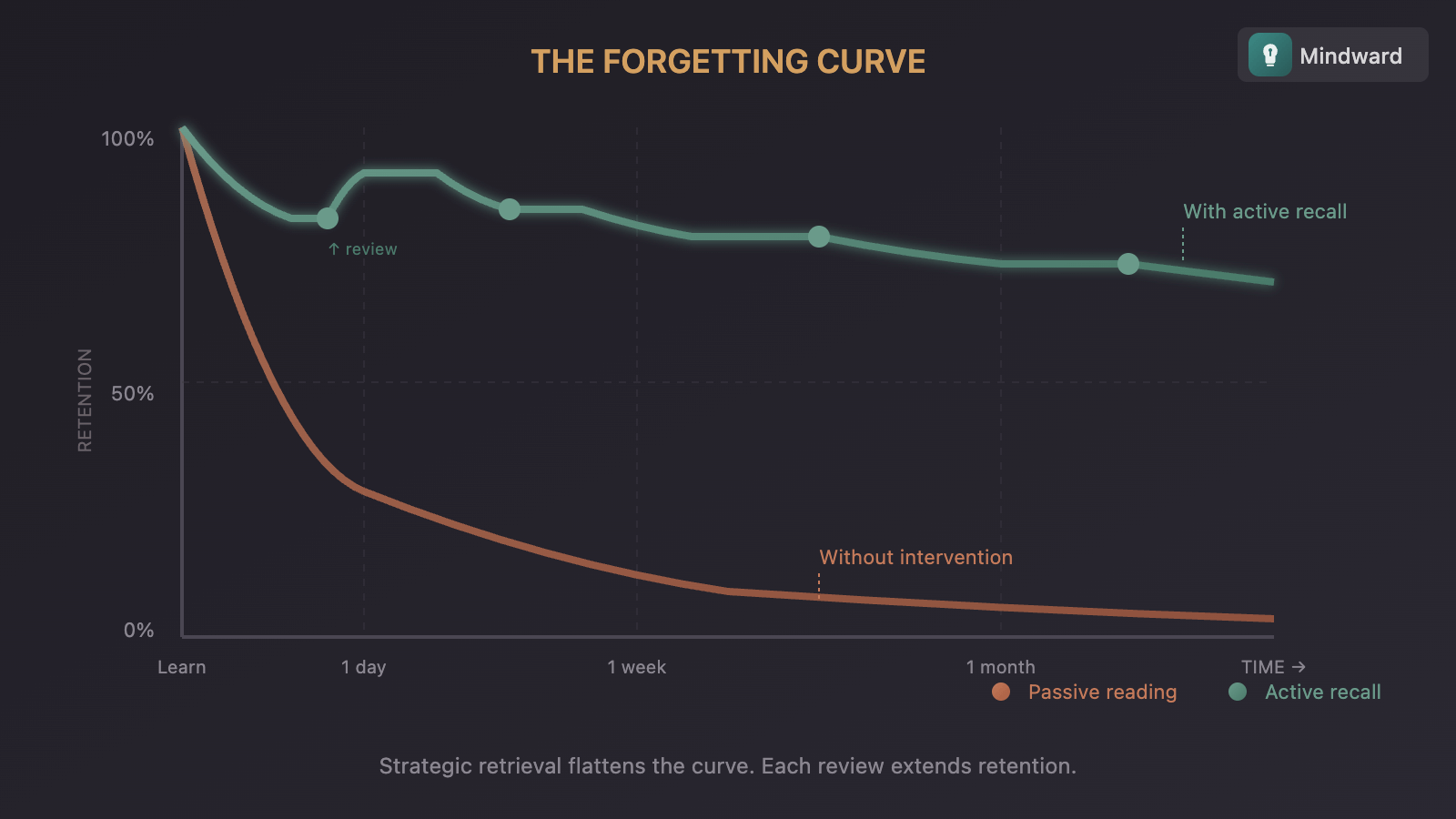 Illustration showing the forgetting curve - steep decline without intervention, flattened with active recall