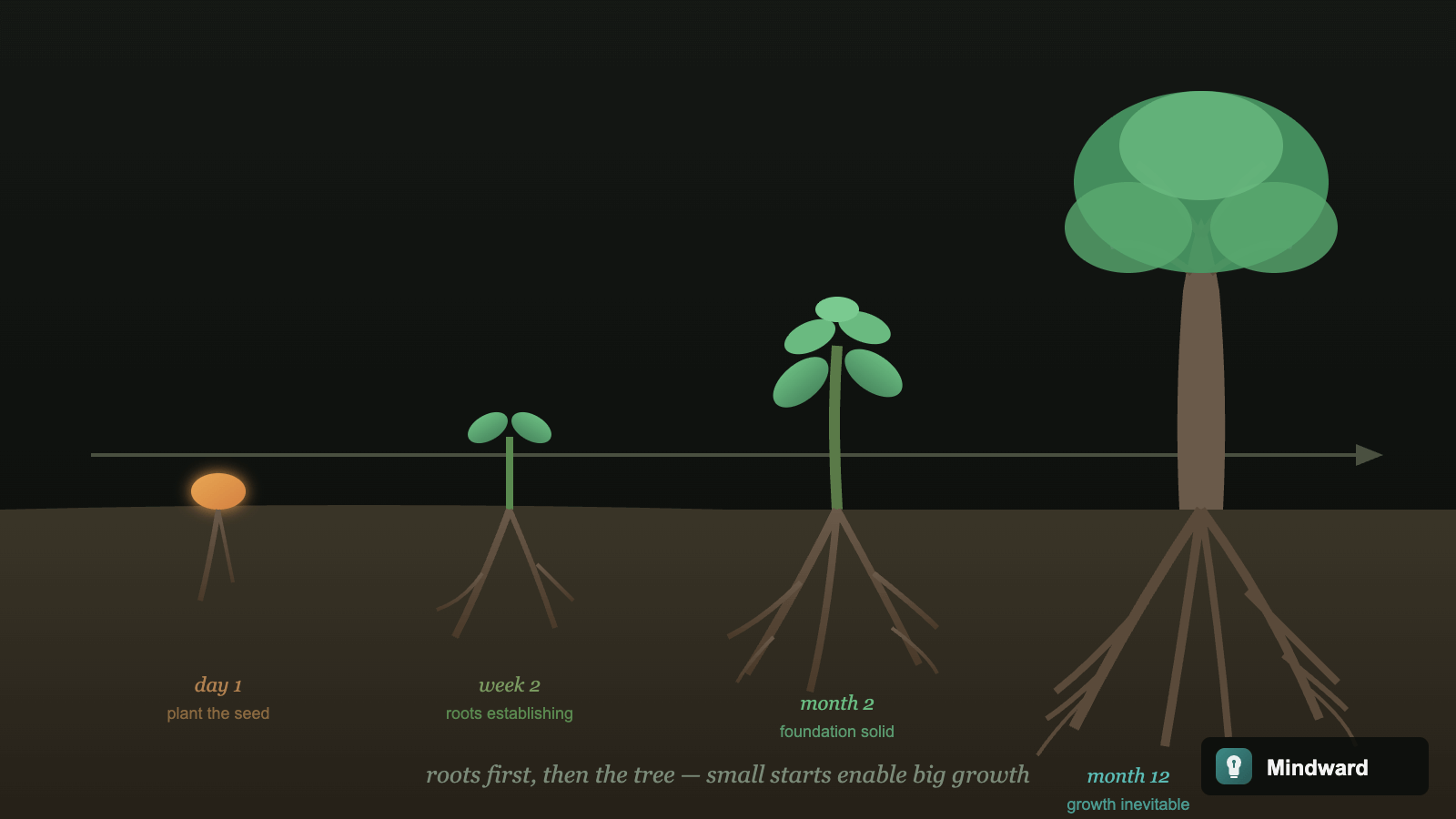 A seed planted in soil with small roots becoming an established root system over time, eventually supporting a large tree — showing how small starts enable big growth