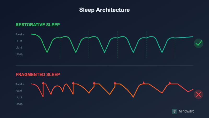 Illustration showing fragmented sleep cycles versus complete restorative cycles