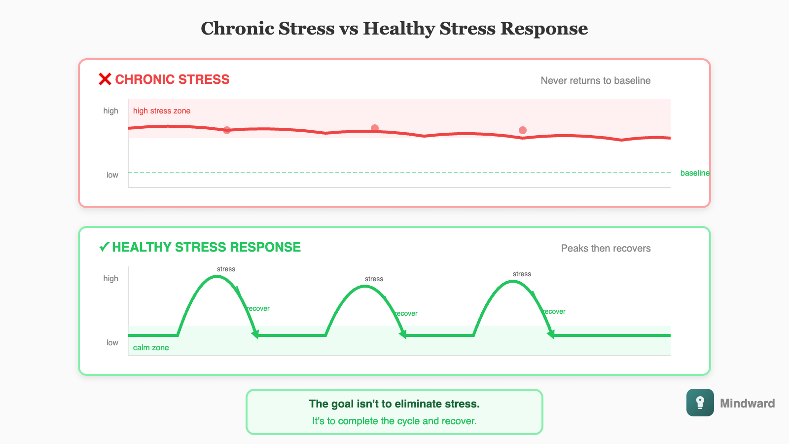 Graph showing two patterns over time. Top shows chronic stress with consistently elevated activation that never returns to baseline. Bottom shows healthy stress with peaks that rise during challenges but return to calm baseline. The difference is recovery.