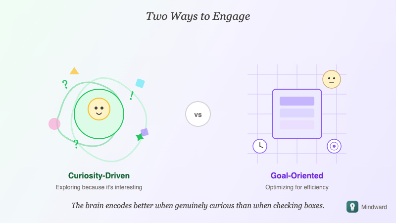 Contrast between adult structured study approach and child's playful exploration, showing different engagement patterns